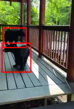 クマ対策 クマ検知システム